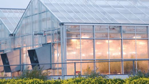 GrowSpan Polycarbonate panels