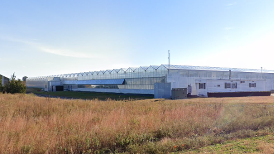 Peconic Growers