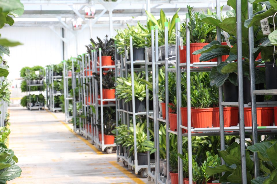 Plants at Costa for eCommerce;