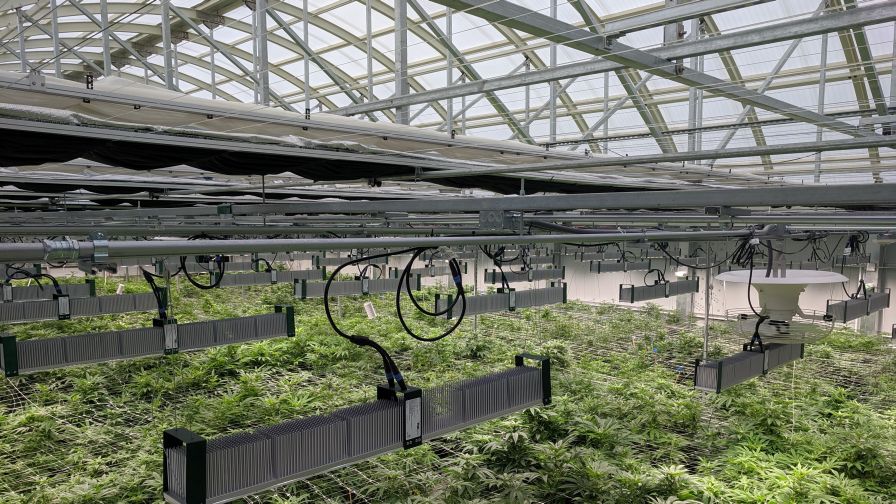 TSRgrow Lighting GROWHub Software