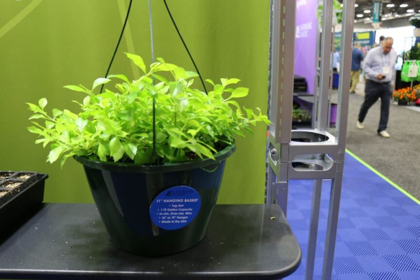 11-Inch Hanging Basket (Landmark Plastic)