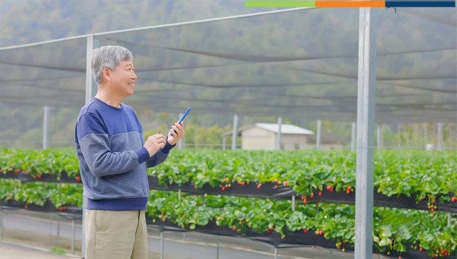 5 Tips for Improving Production in Your Greenhouse