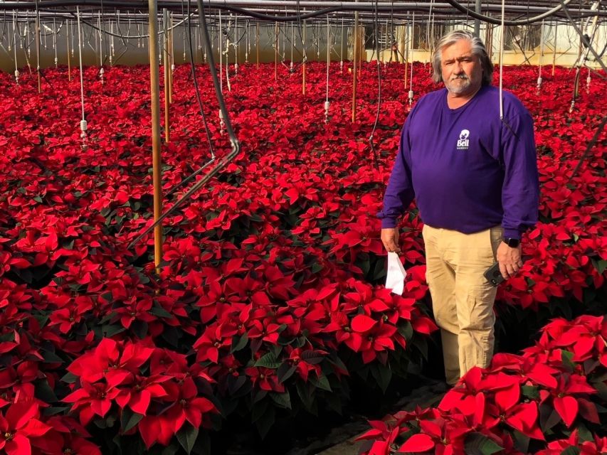 Ashley Smith, Bell Nursery