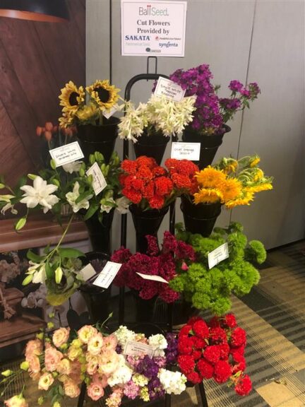 Flowers at cut flower workshop