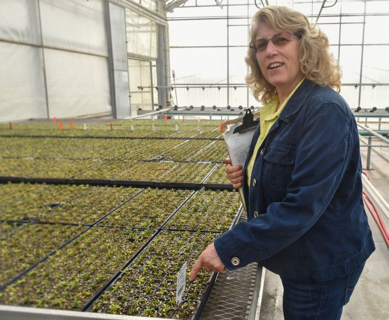 Gina Falcetti, Skagit Horticulture