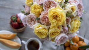 Star Roses and Plants Launches New Rose Brand Marked by Fragrance, High Petal Count