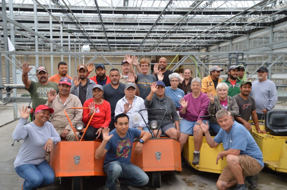 Willoway Nurseries