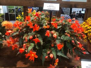 New Products and New Insights From Cultivate’22