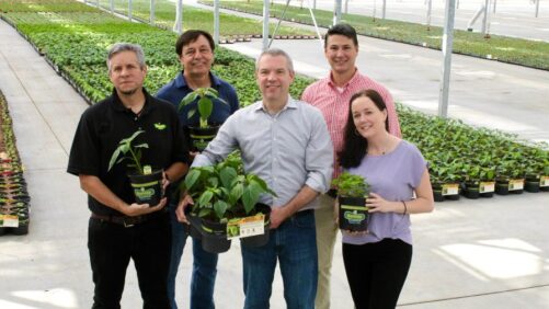 How Consumer Focus Drives Innovation at Bonnie Plants