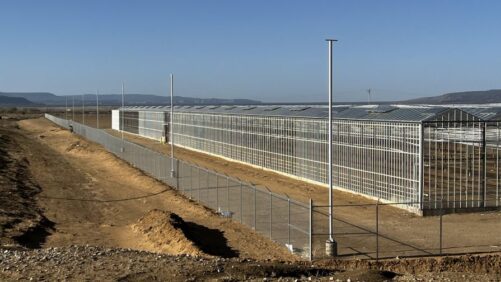 New Mexico Cannabis Greenhouse Facility Nears Completion