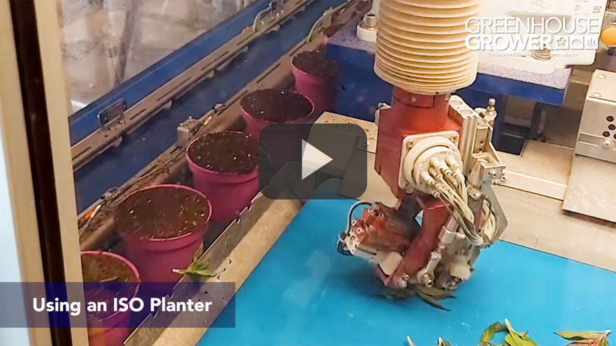 #9: Take a Virtual Video Tour of a High-Tech Dutch Greenhouse