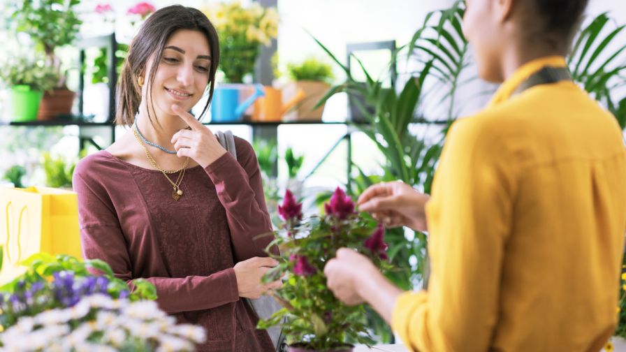 HC Companies How Consumer Shopping