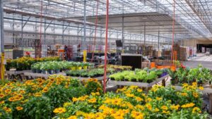 Ways to Develop an Effective Sales and Operations Planning Process for Your Greenhouse