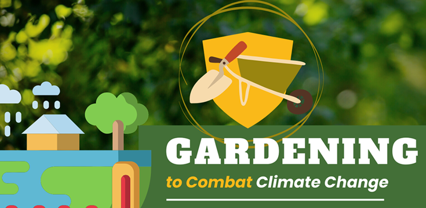 Mostardi Climate Change Marketing