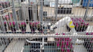 In Greenhouse Technology, One Size Does Not Fit All