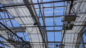 A Collaborative Approach to Greenhouse Maintenance