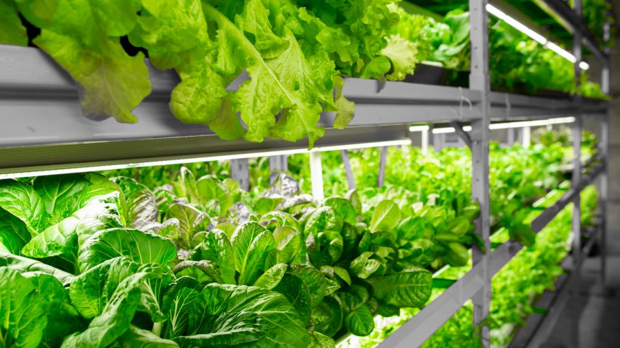 urban-gro vertical farming