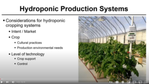 Video of the Week: The Basics of Greenhouse Hydroponic Production