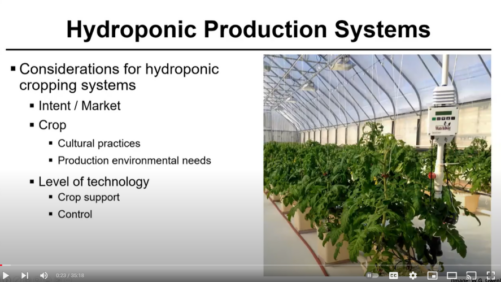 Video of the Week: The Basics of Greenhouse Hydroponic Production