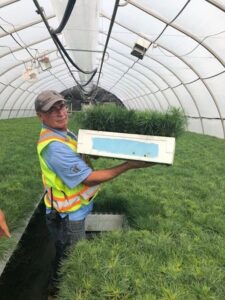 Beaver Plastics Grower with tray