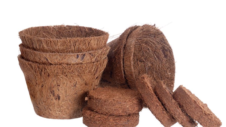 Coir Pots
