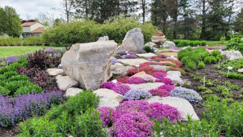 A Closer Look at How Corso’s Horticulture Cares For Its Employees and its Plants