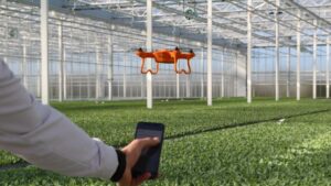 5 Technology Stories that Trended in 2024
