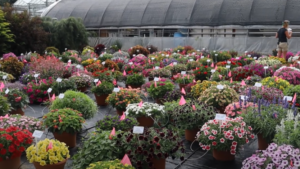 D.S. Cole Growers Hosting Open House on August 3