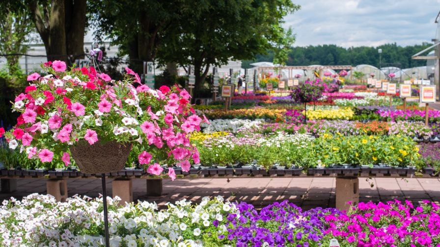 Gardening Is Here to Stay in the “New Normal”