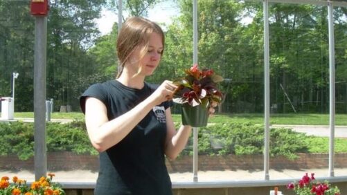12 Horticulture Research Projects Receiving AFE Funding This Year