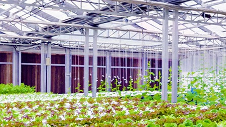 Ultra Yield Solutions