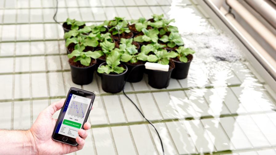 Vineland Smart Irrigation Collaboration LetsGrow.com