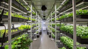 USDA Enhances Commitment to Controlled-Environment Agriculture Research