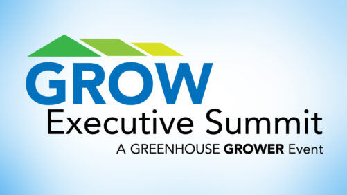 Take a High-Level View of the Forces Shaping Your Business
