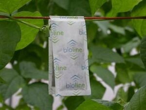 Gemini Sachet