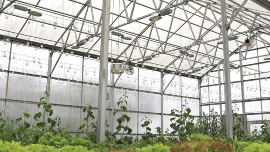 GrowSpan Texas Structure greenhouse materials