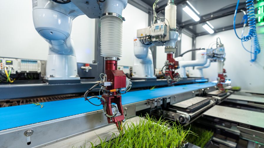 ISO Group Sorter and Planter