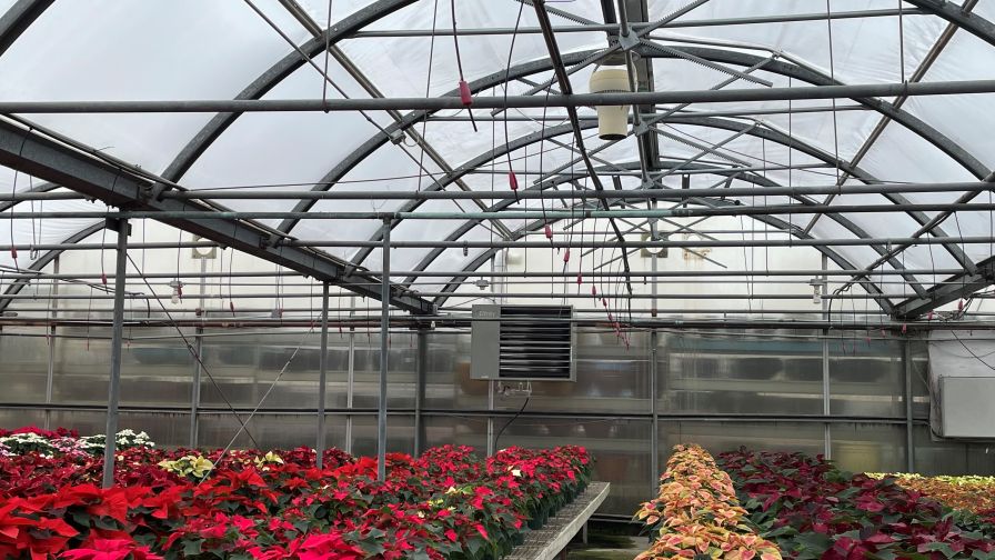Modine Greenhouse