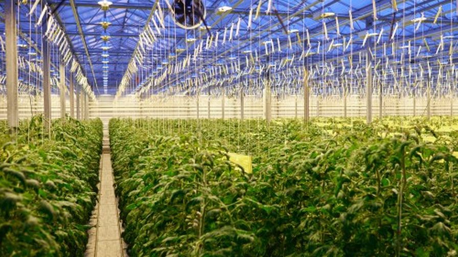 OSU USDA Research CFAES