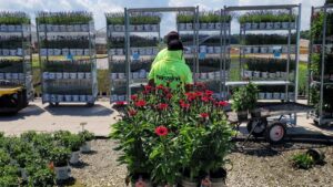 Is H-2A a Good Fit for Your Business? Find Out at the GROW Executive Summit