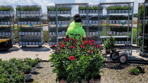 7 Reasons to Be Optimistic About the Future of Labor in Floriculture