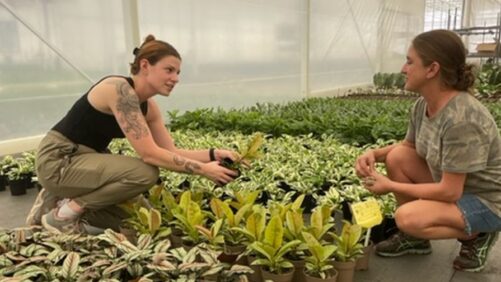 Why Growers Need to Learn Best Practices for Recruiting, Hiring