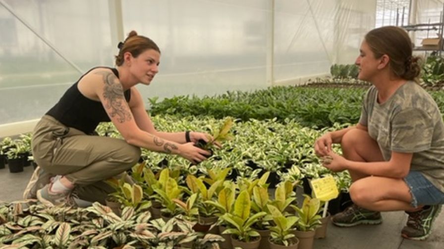 Greenhouse Education The Plant Company recruiting