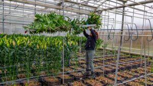 10 Lessons for Enhancing Safety in Your Horticulture Business