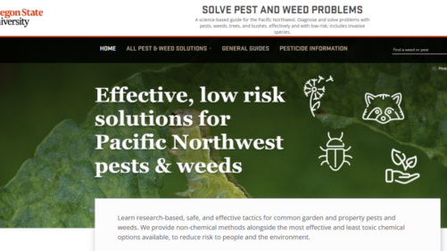 New Extension Website Helps Solve Pest and Disease Problems