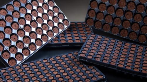 Profile Products Adds Another Growing Media Option for Plant Growers