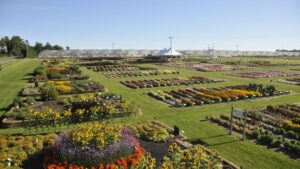 Fan Favorites That Emerged From Raker-Roberta’s Young Plants Trials