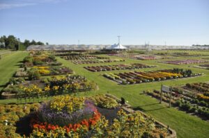 Raker-Roberta's 2022 Trial Gardens