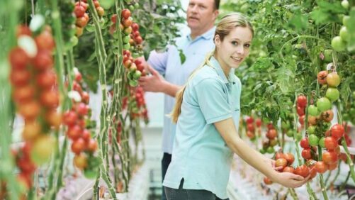 How to Make Horticulture an Enjoyable Career Choice