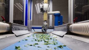 Four Trends Driving Greenhouse Technology and Automation